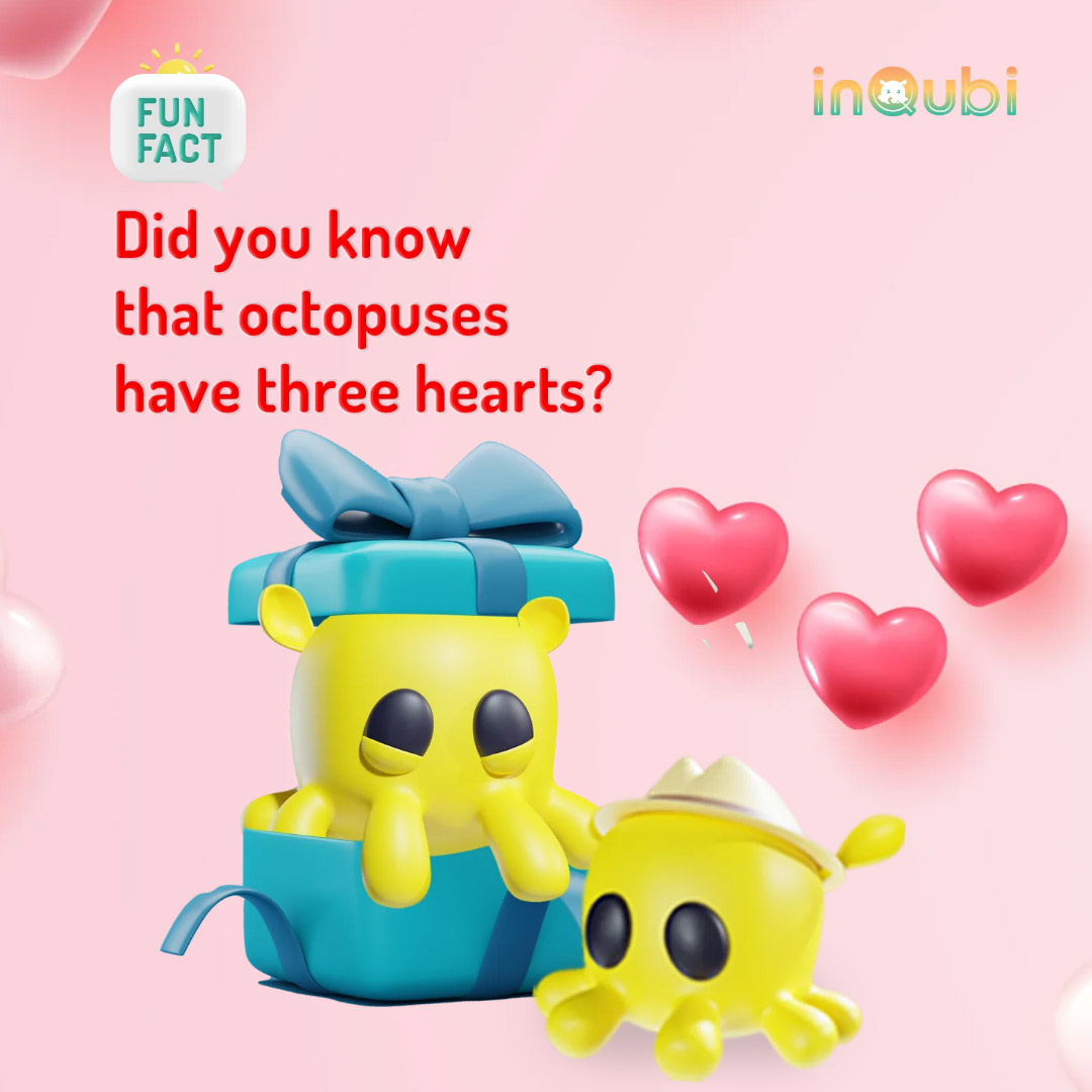 Social Fun Fact 5