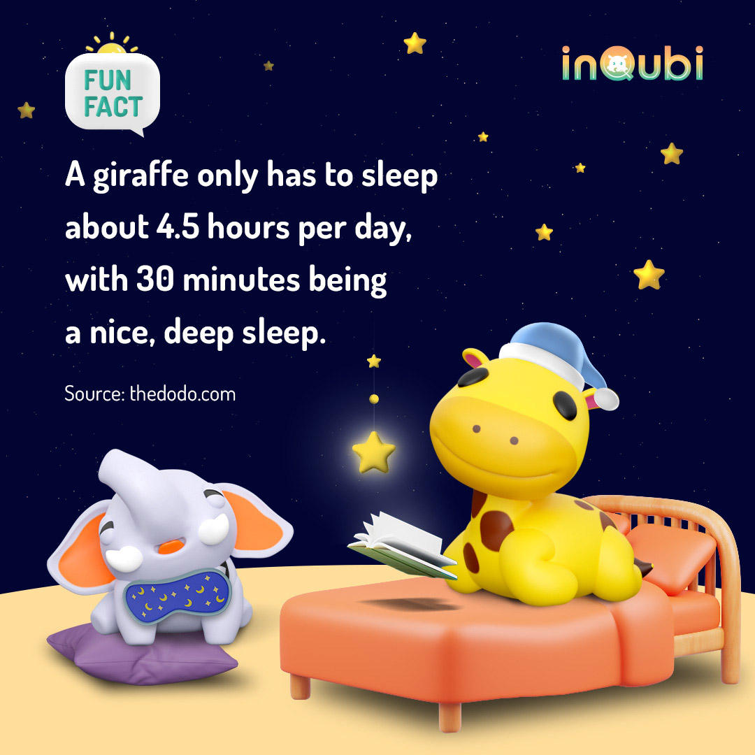 Fun Fact 11